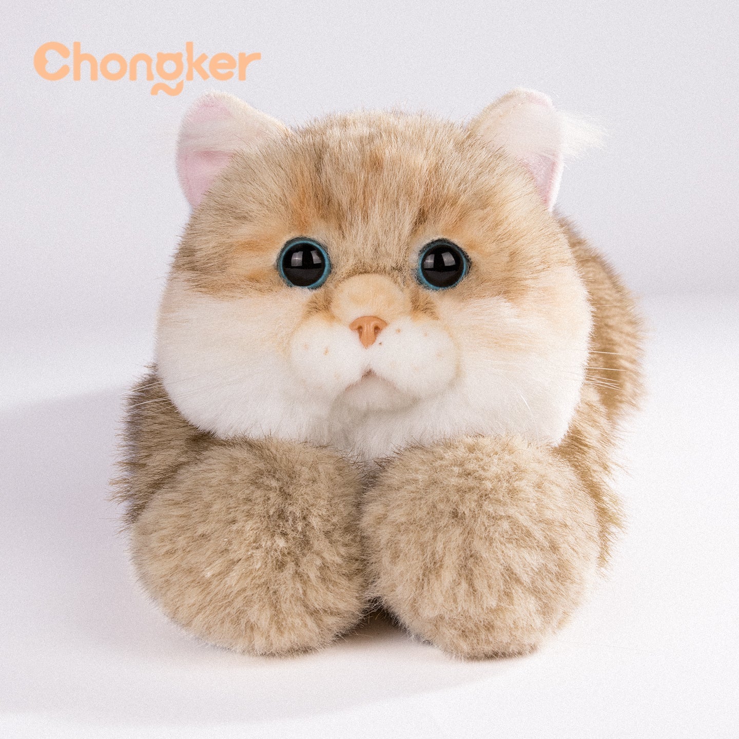 Golden British Shorthair Cat Plush