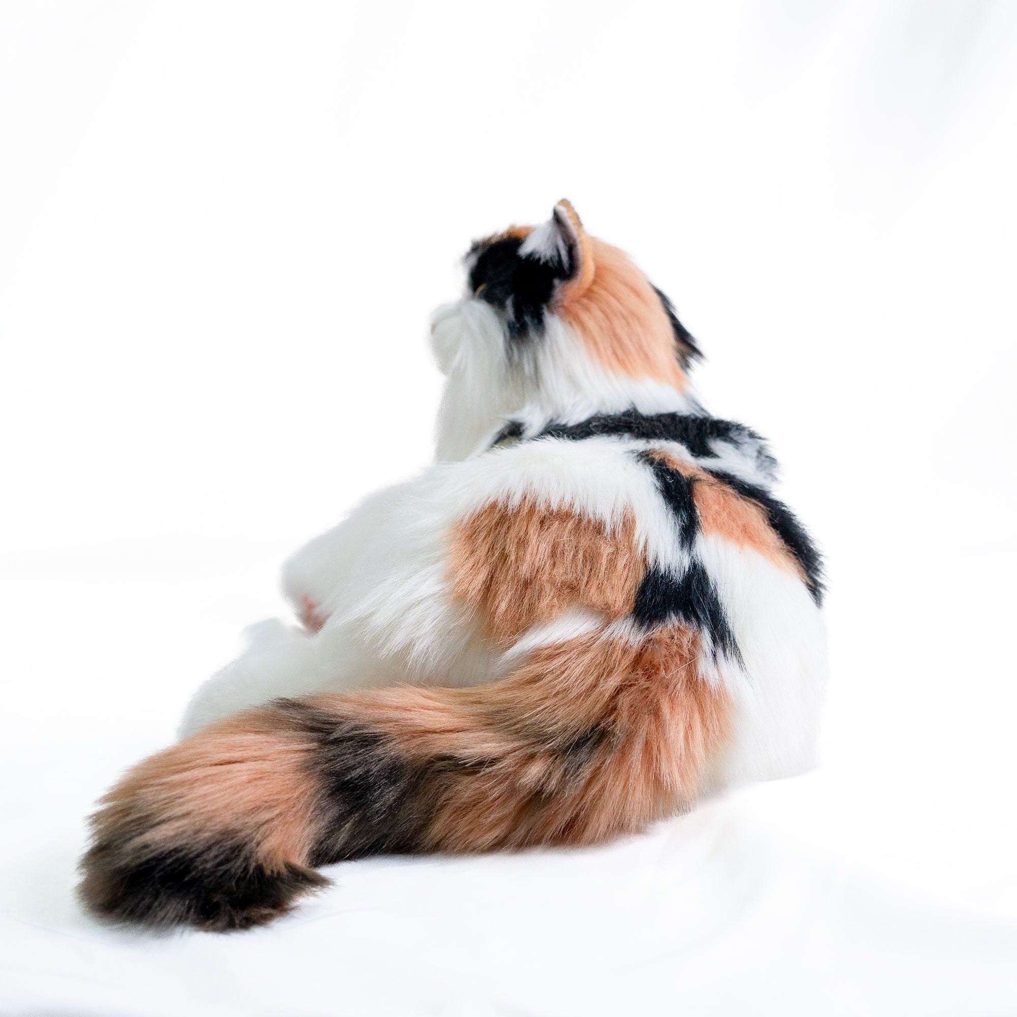Breathing Calico Percy 2.0- Heartbeat Pur,Voice Robonic Cat