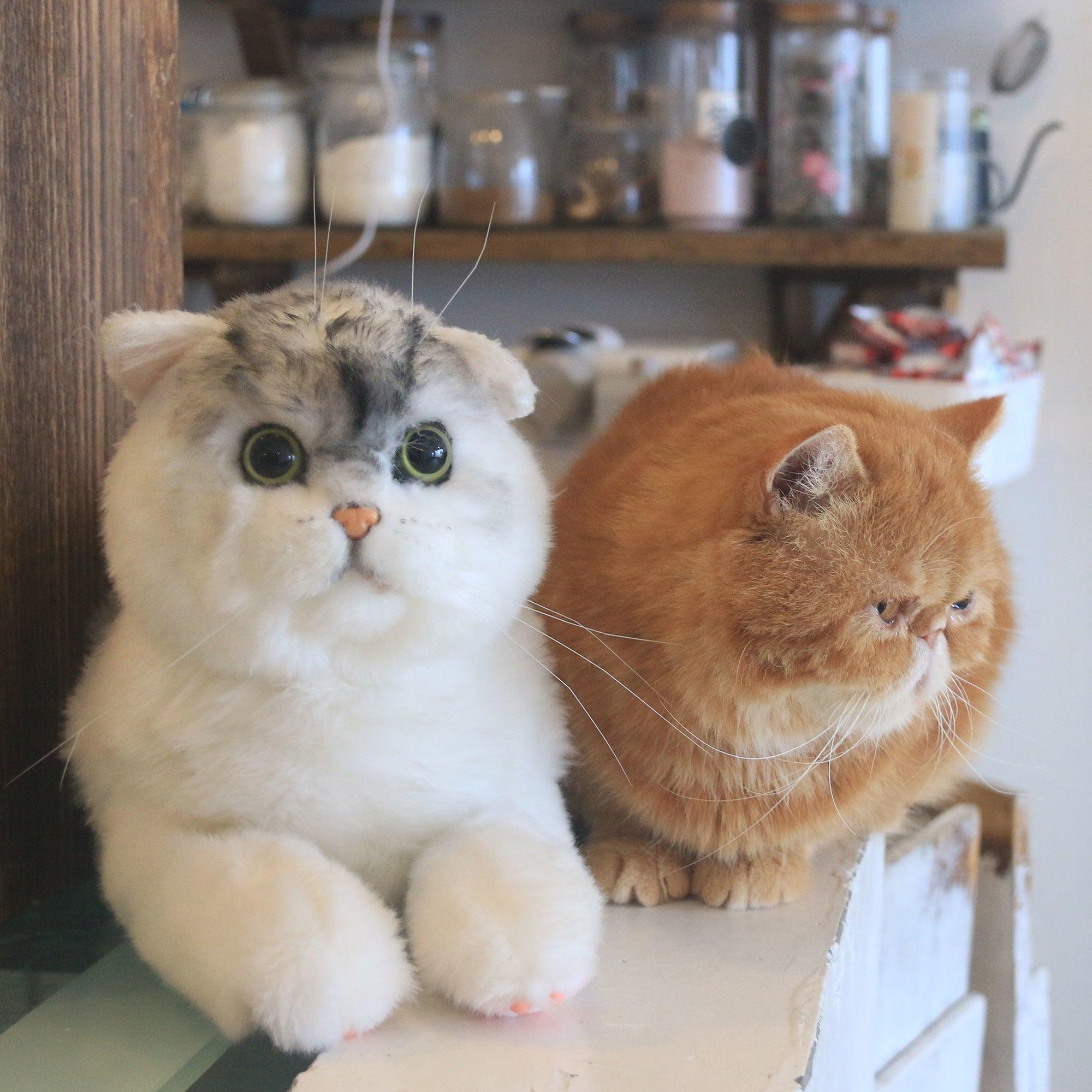 British Shorthair Cat – Realistic Plush for Women