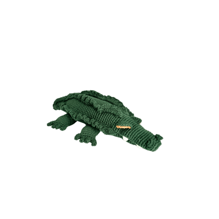 Marvin the Crocodile